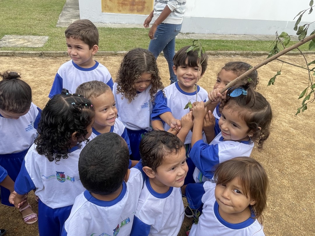 Prefeitura pretende plantar 1.000 árvores em Jupi durante a Semana do Meio Ambiente